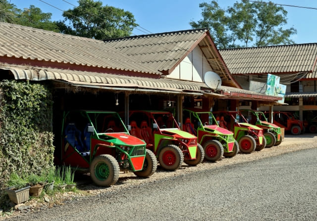 The buggy yard